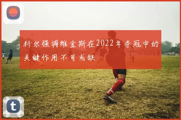 科尔强调维金斯在2022年夺冠中的关键作用不可或缺