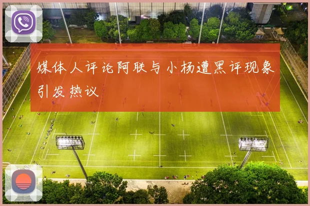 媒体人评论阿联与小杨遭黑评现象引发热议
