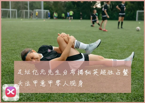 足坛亿元先生分布揭秘英超独占鳌头法甲意甲零人现身