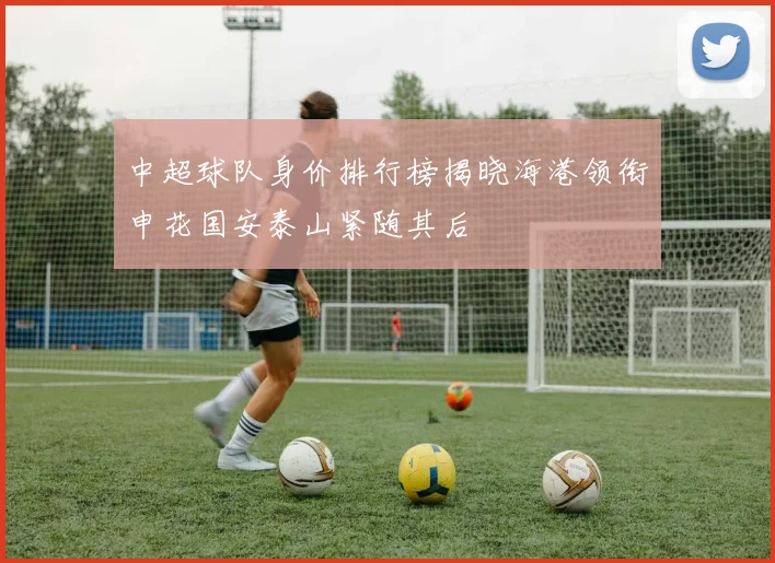 中超球队身价排行榜揭晓海港领衔申花国安泰山紧随其后