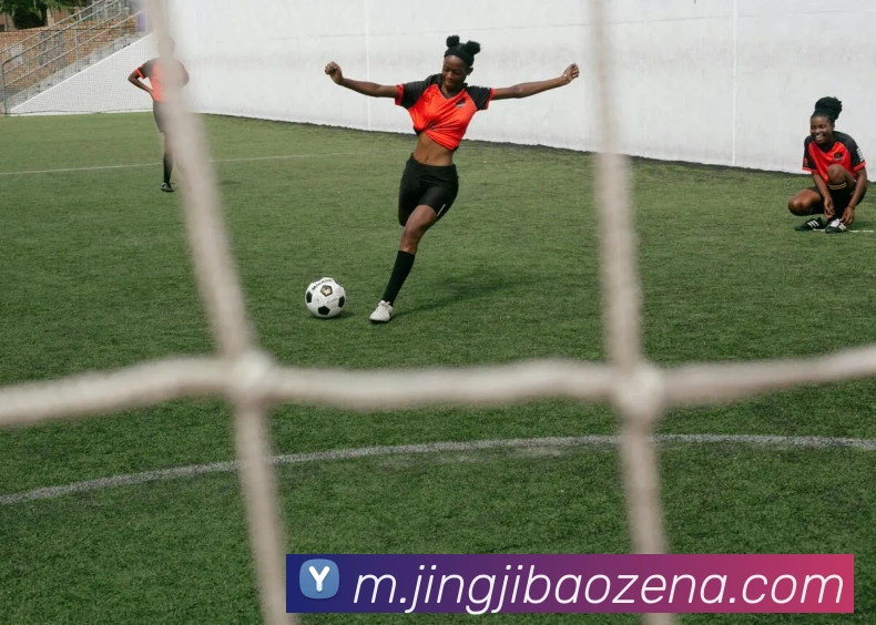 App Interface Preview